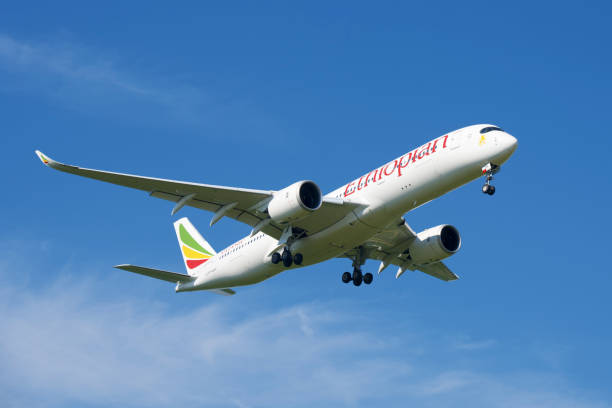 The New Ideas in Design